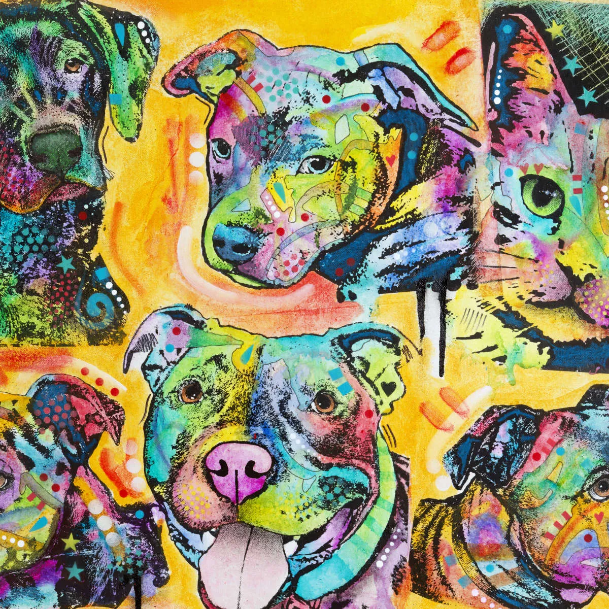 5 Dogs And A Cat Wall Art