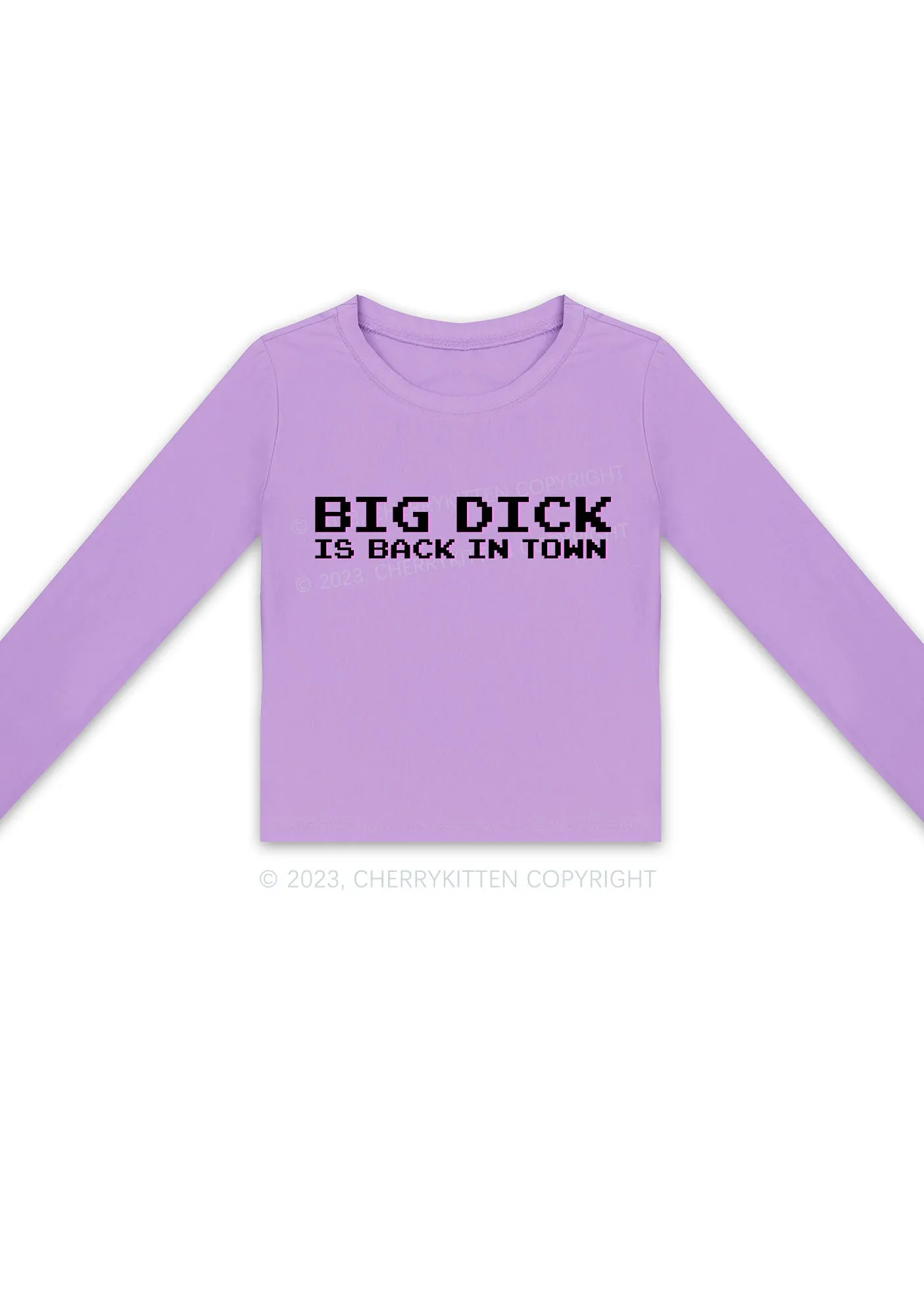 Big Is Back In Town Long Sleeve Crop Top Cherrykitten