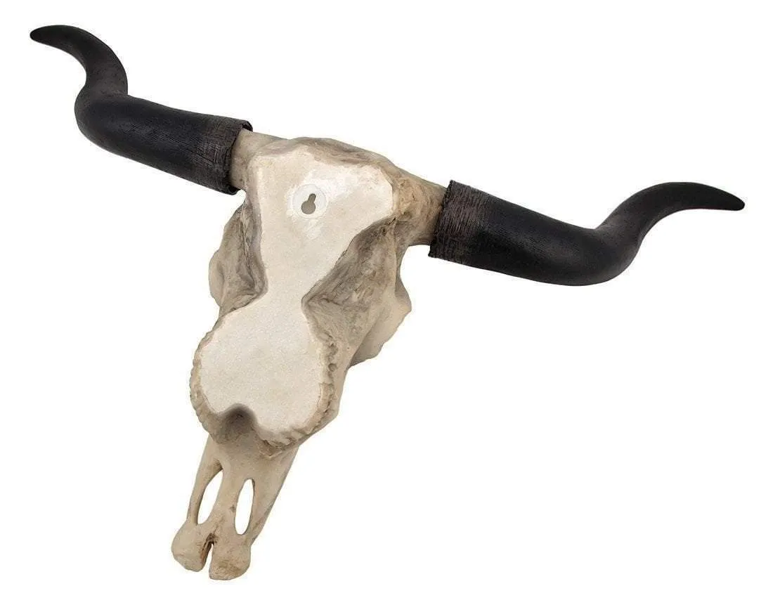 Bison Skull