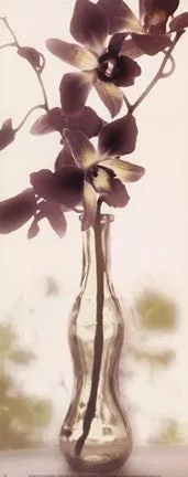 Charming Orchid