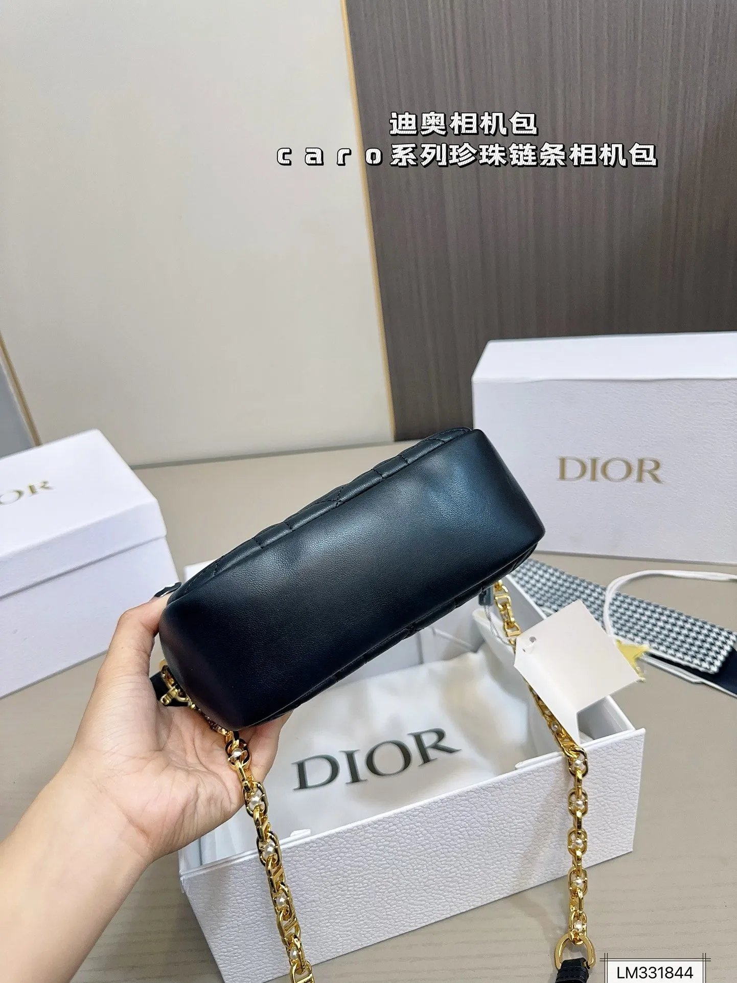 DR420 Small Dior Caro Top Handle Camera Bag / 7.5x5x2inches