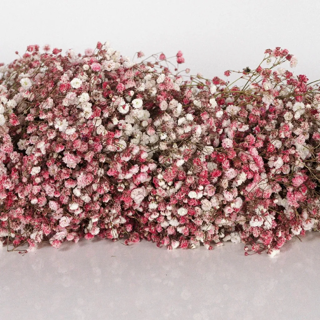 Pink Baby's Breath Garland