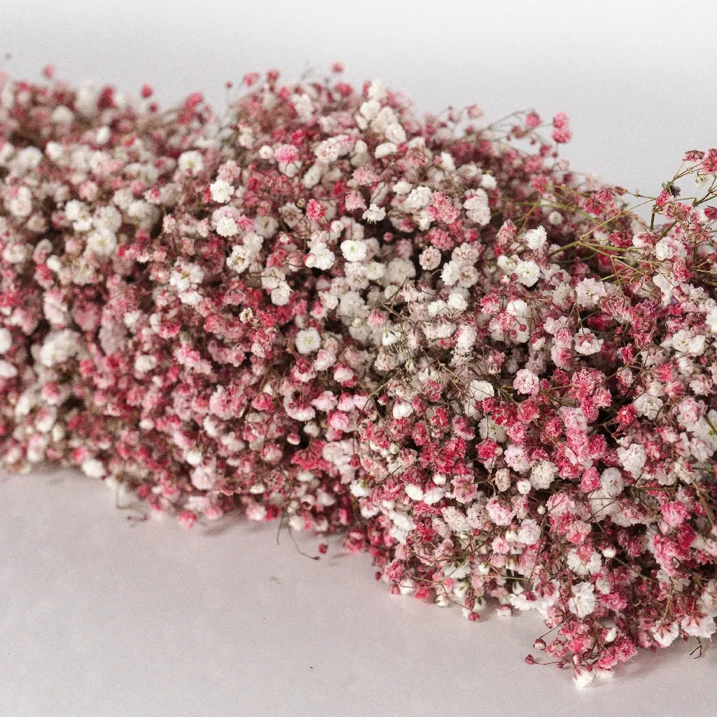 Pink Baby's Breath Garland