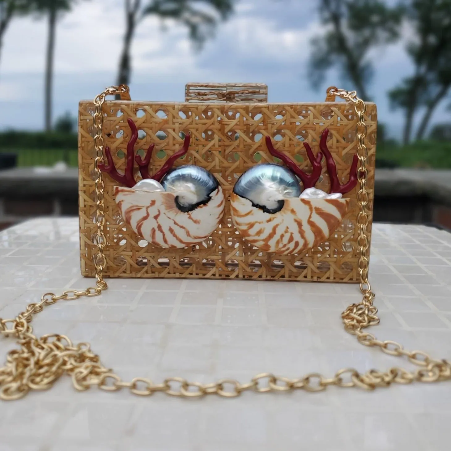 Rattan and Acrylic Shell Clutch Purse