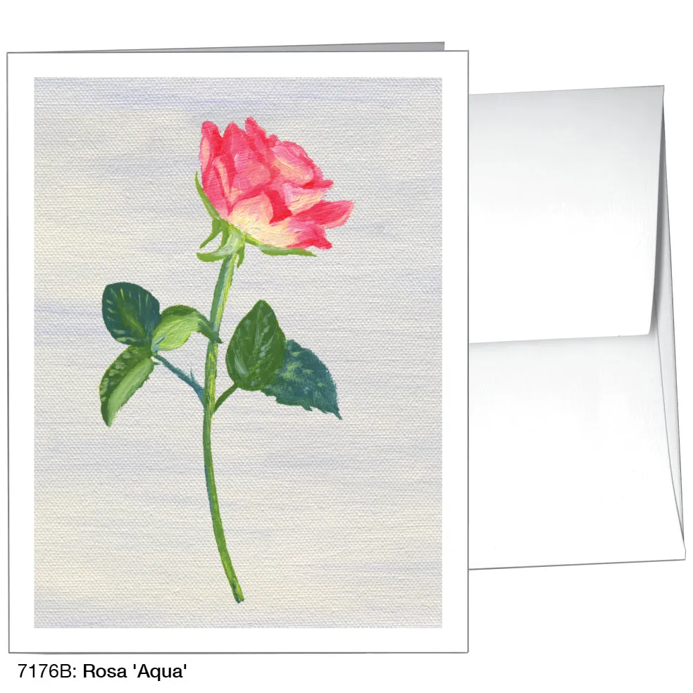 Rosa 'Aqua', Greeting Card (7176B)