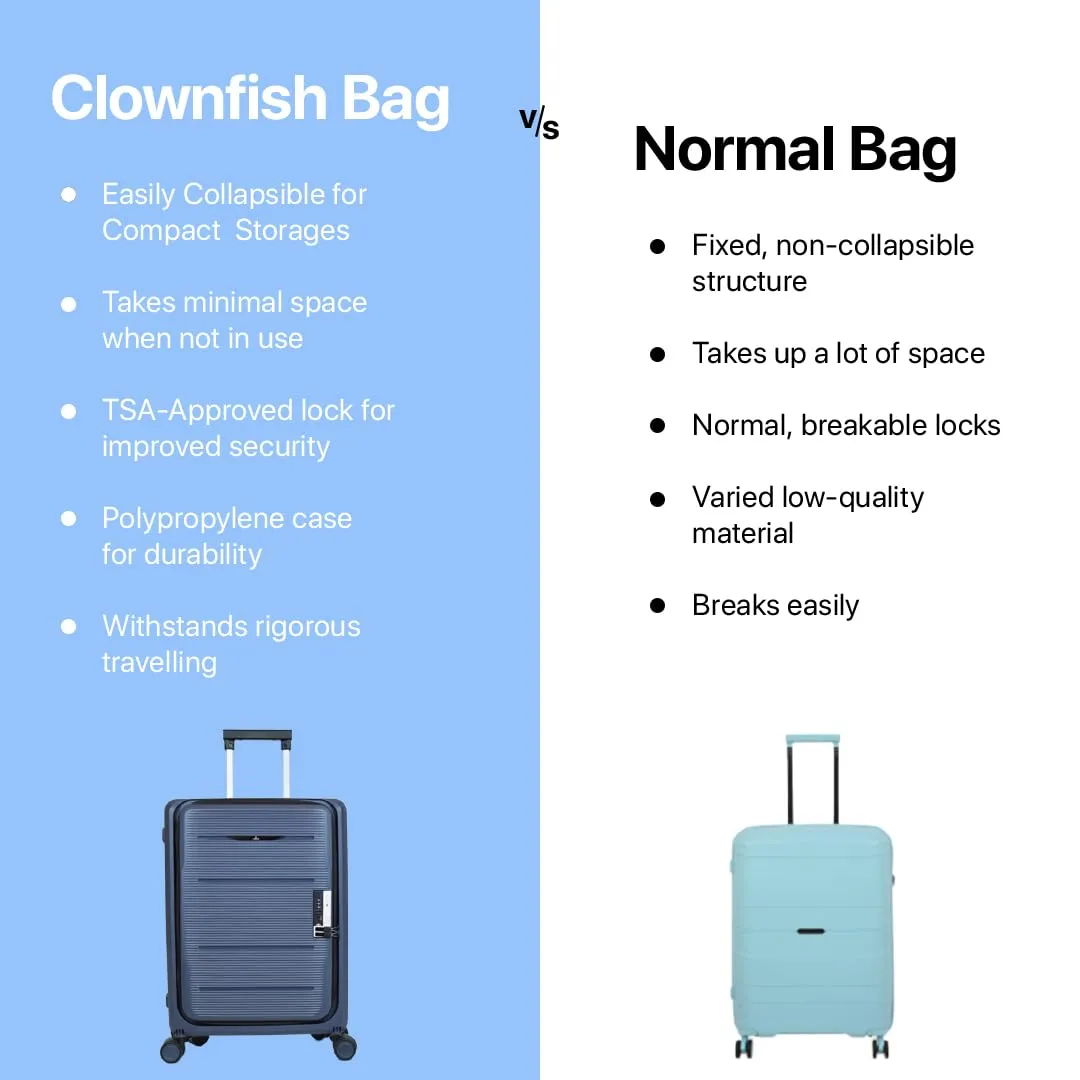 THE CLOWNFISH Collapsible Series Luggage Polypropylene Hard Case Suitcase Spinner Eight Wheel Foldable Trolley Bag With Tsa Lock- Grey (Small Size, 51 Cm-20 Inch), H-56 Centimeters