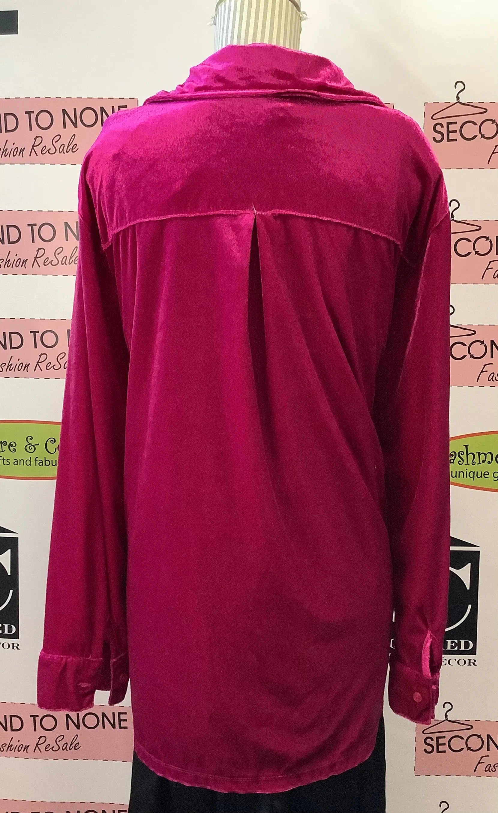 Vibrant Velour Top (1X)